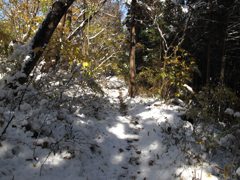 20161125hike (87)